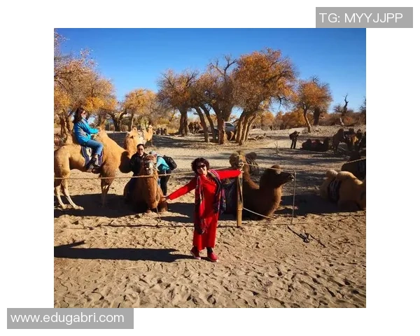 黄伟专访：畅谈滑板人生与梦想的追逐之旅